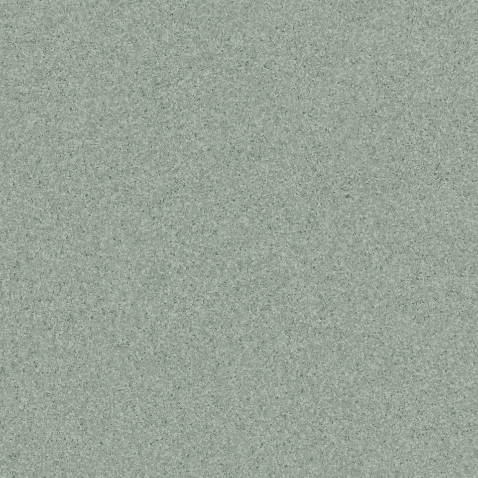 Линолеум Tarkett (Таркет) Primo Plus (Примо Плюс) Примо 311 продаётся рулоном